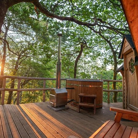 Chestnut Tree House With Hot Tub & Sauna Barmouth Dış mekan fotoğraf