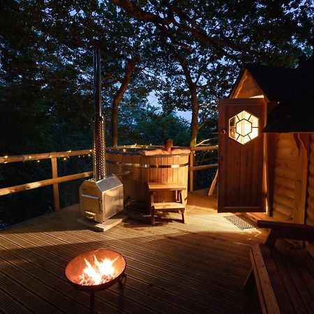 Chestnut Tree House With Hot Tub & Sauna Barmouth Dış mekan fotoğraf