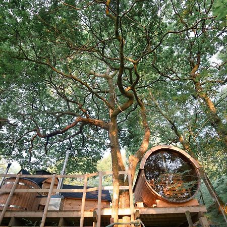 Chestnut Tree House With Hot Tub & Sauna Barmouth Dış mekan fotoğraf
