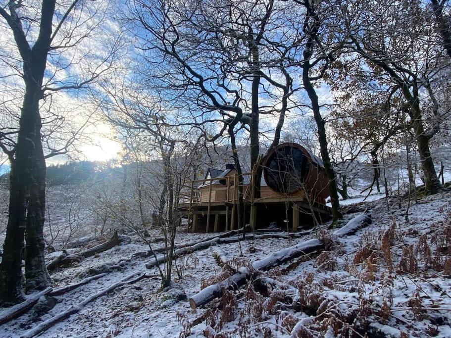 Chestnut Tree House With Hot Tub & Sauna Barmouth Dış mekan fotoğraf