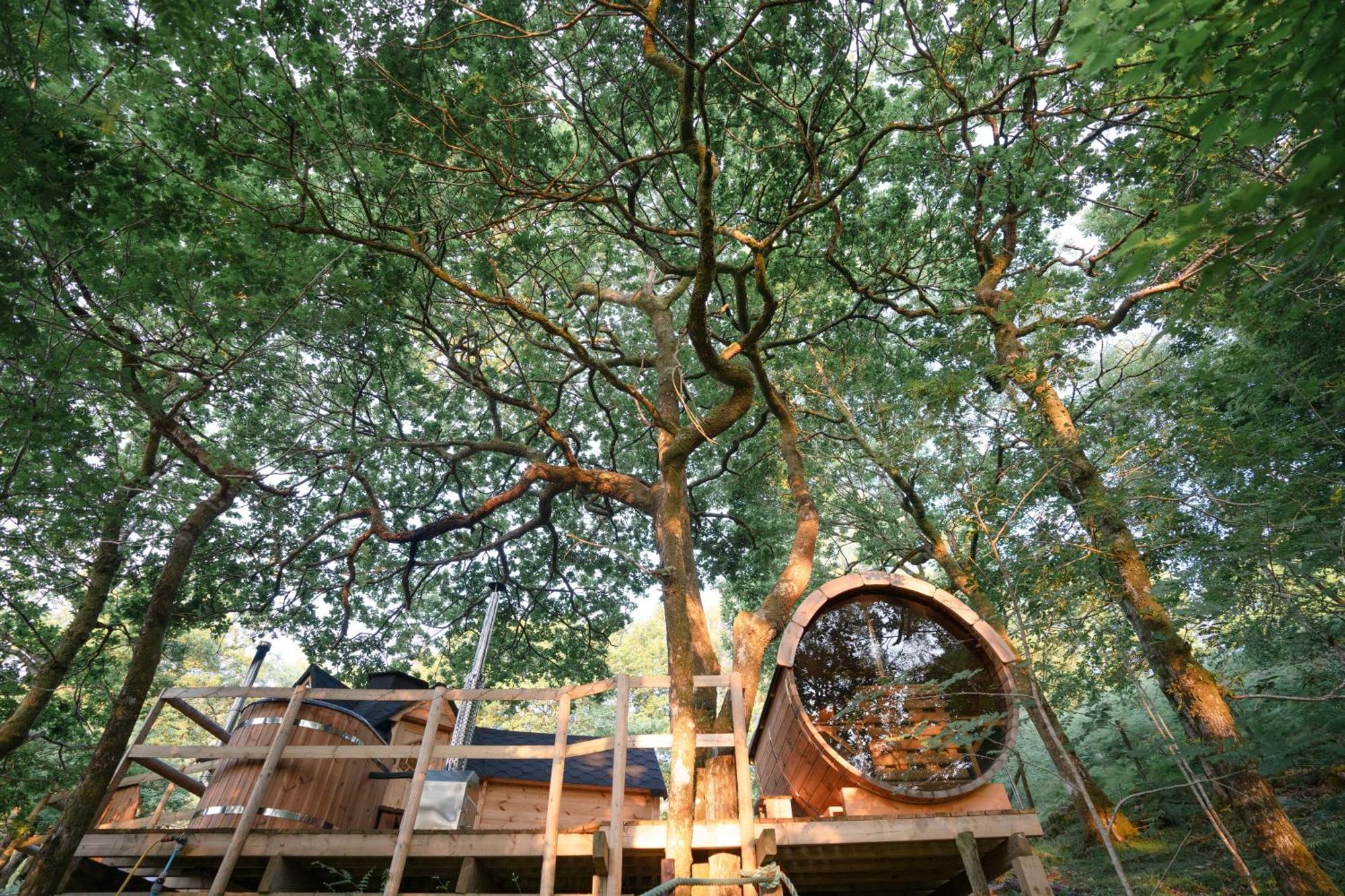 Chestnut Tree House With Hot Tub & Sauna Barmouth Dış mekan fotoğraf