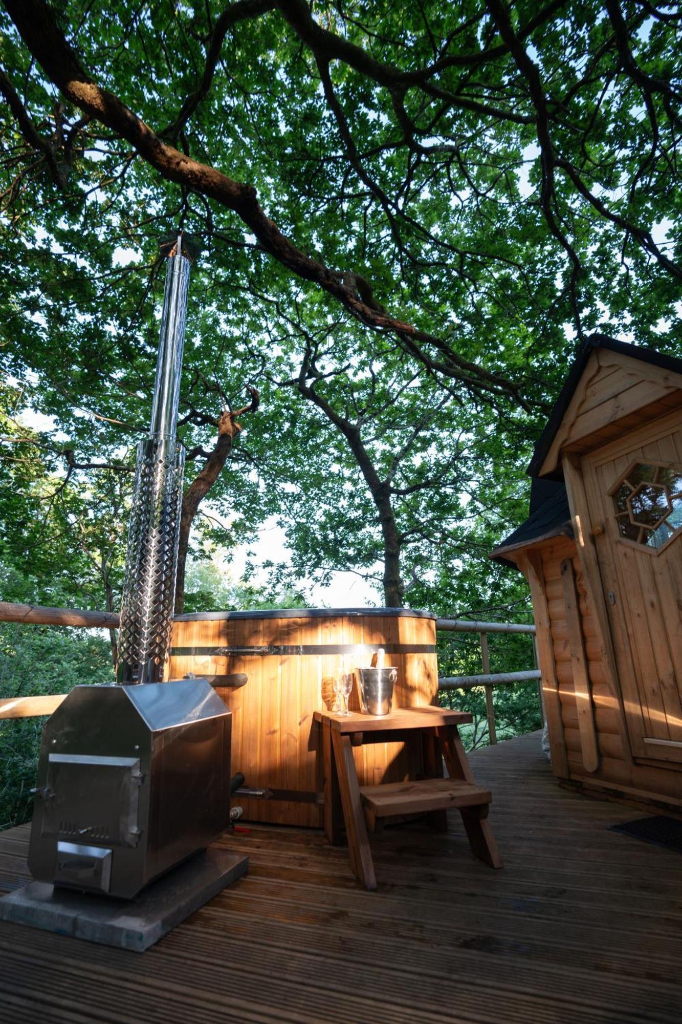 Chestnut Tree House With Hot Tub & Sauna Barmouth Dış mekan fotoğraf